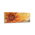 Acrylic Wall Art, Sunflower Acrylic Print, Modern Botanical Art. Office Wall Art. Contemporary Flower Print. Horizontal Wall Decor.